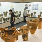 特別展「とちぎ縄文の夏」始まる　県内外の土器170点など展示　さくら・荒井寛方記念館が30周年記念