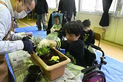 パンジーなど８０株植栽