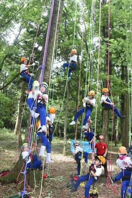 ツリークライミングを体験する大内東小の児童