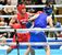 女子フェザー級決勝　日体大の吉澤（左）が激しく攻め立てる＝墨田区総合体育館
