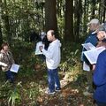 那珂川町の「武茂城」、観光誘客に可能性　中世に宇都宮氏の支族が居城　モニターツアーも好評