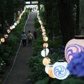 アジサイの名所へいざなう柔らかな光　鹿沼・磯山神社の参道、提灯でライトアップ