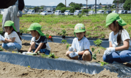 若手農業者らが優しく指導