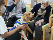 セラピー犬７匹と交流　栃木の老健施設で高齢者、頭なで話しかけ自然な笑顔…