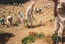わがまちの変遷　矢板・塩谷  高原山の林業　立地生かし戦後盛んに