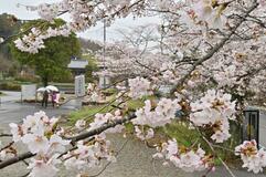 大宿街道（大田原）