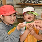 実寸大の昆虫を再現、材料はなんと...　子どもたちもびっくり　鹿沼の工房「心の郷」 作品展示し一般開放