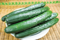 新鮮なキュウリを通年で販売ＪＡおやま　石橋農産物直売所「四季彩」