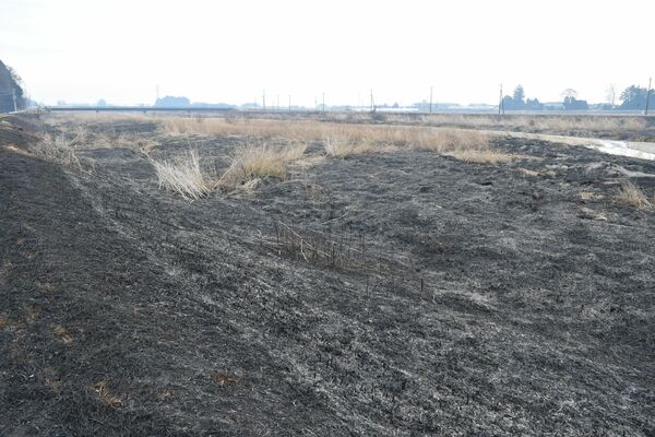 男性の遺体が見つかった荒川河川敷の野焼き現場＝２月19日、塩谷町大久保