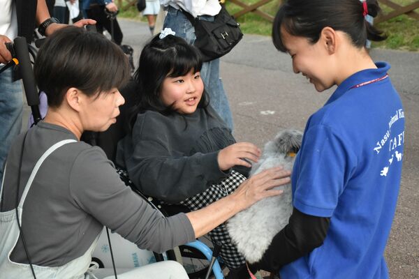 ウサギと触れ合う参加者たち＝７日午後６時３０分ごろ、那須町大島