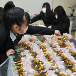 手作りコサージュで卒業生送る　鹿沼南高在校生が準備