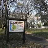 小山市、平地林の保全や管理を促進　エリア指定などの計画案　10日まで意…