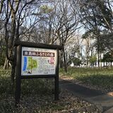 小山市、平地林の保全や管理を促進　エリア指定などの計画案　10日まで意見公募