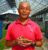 ＜211＞収穫まで１年、手間暇かけて育む味　JAうつのみやの「シイタケ」