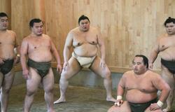 連続休場の大の里 「状態は悪くない」 