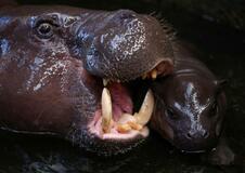 疲れリカバリー