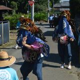 ３頭の獅子が佐野の街中巡る　「いつもの夏戻ってきた」　地域の誇り、再開に安堵