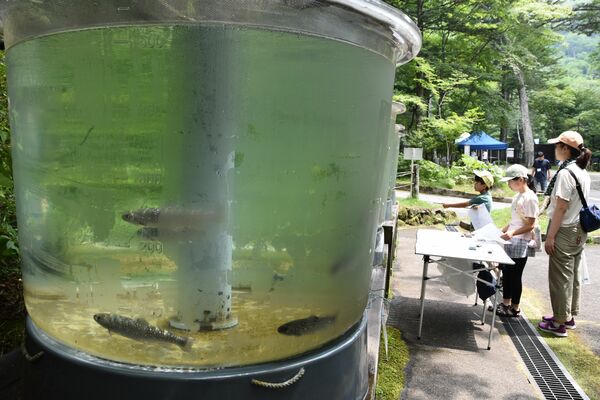 無料公開された「さかなと森の観察園」