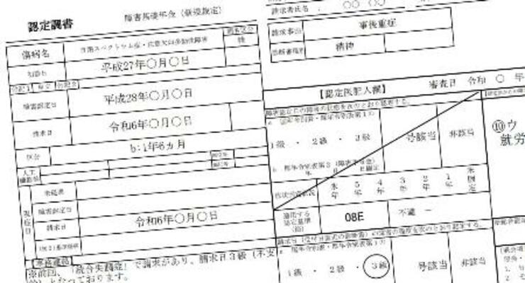 障害年金について医師の判定結果を記す「認定調書」の記載例(厚労省の資料より)。日本年金機構が一部のケースでひそかに破棄していたことが分かった