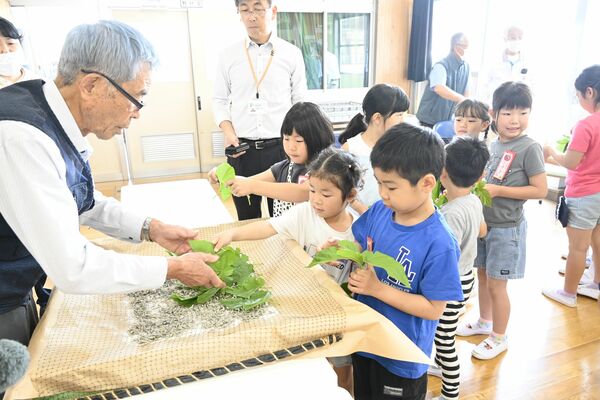 野沢さん（左）の指導を受け蚕に桑の葉を与える児童