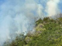 佐野の建物火災、山林に延焼　13日午後4時過ぎに鎮圧