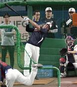 大谷 ５階席特大弾