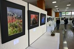 身近な自然の姿 感性豊かな36点