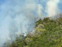 佐野の建物火災、山林に延焼 13日午後4時過ぎに鎮圧
