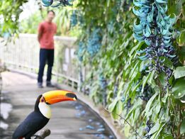 神秘的な青緑と南米の鳥が共演　真岡・井…