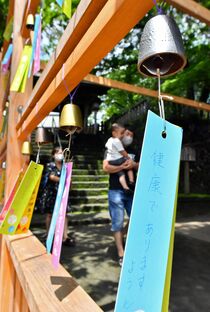 「風鈴参道」はじまる 佐野の唐澤山神社