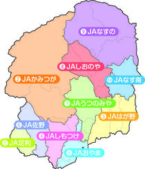 　JAまつり特集　　　   実りの秋で笑顔も豊作 