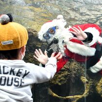 水中サンタクロース　大田原