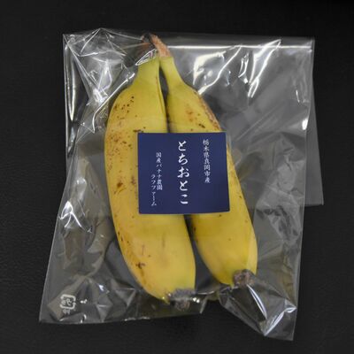 真岡市産のバナナ「とちおとこ」