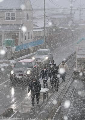 強い風雪に見舞われた大田原市内＝24日午後４時20分、大田原市美原３丁目