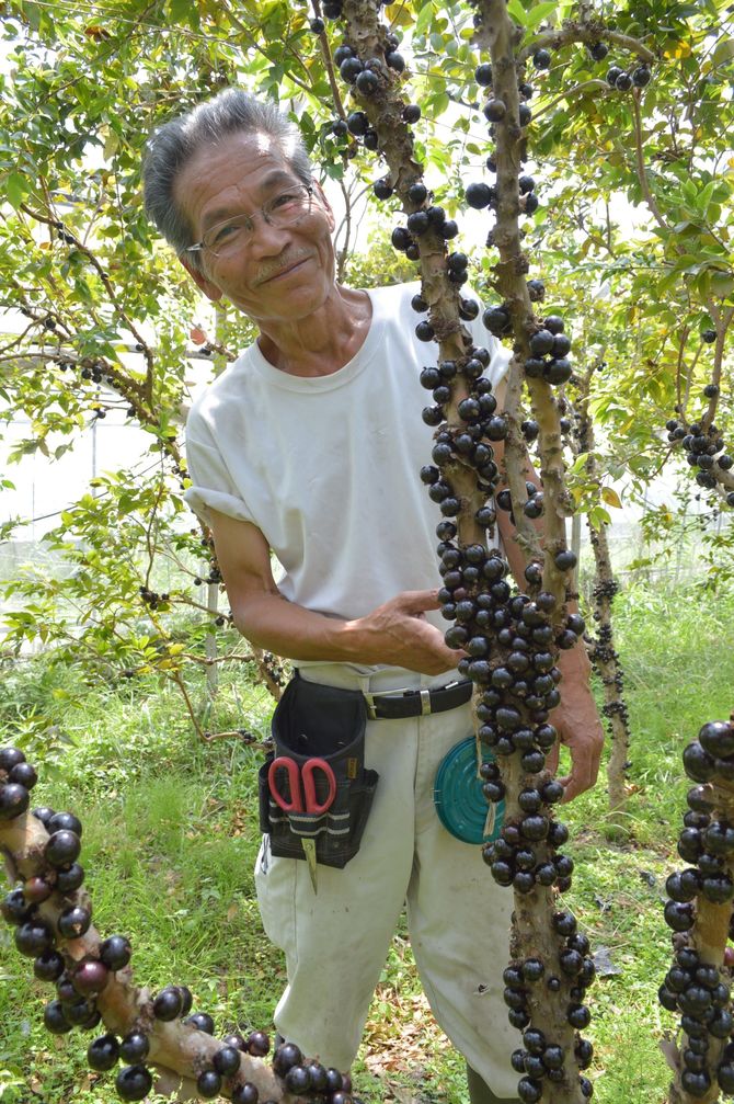見てびっくり！食べておいしい！ ブラジル原産の「ジャボチカバ」と福島直彌社長 