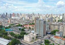 米ＣＯＰ３０に高官派遣せず