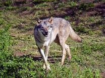 通常通り来月２日から開園