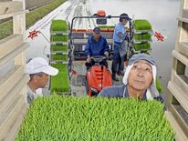 「県内一の米どころ」早くも田植え　大田原の関谷さん方　コシヒカリとなす…