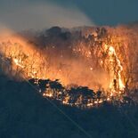 山火事、多くの原因は「人為的」　火の始末 最後まで確実に