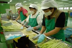 ＜ＪＡうつのみや＞規格外作物の再利用　“もったいない”が原動力