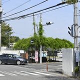 野木町役場前の信号撤去へ　交通量減少と耐用年数経過で県警決定　安全対策、町議から異論相次ぐ
