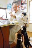 ２月２２日は猫の日
