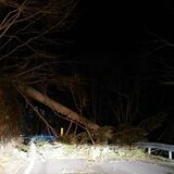 日光・第一いろは坂で倒木　道路ふさぎ、一時車両が立ち往生