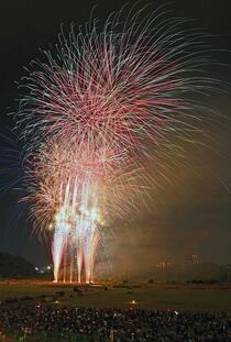 夜空彩る足利花火大会