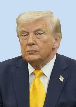 米が対日追加関税１２・５％検討