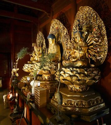日光山輪王寺三仏堂で行われた３本尊のすす払い＝14日午前８時50分、日光市山内（超広角レンズ使用）