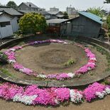 【遺構は語る】防火水槽跡（壬生）
