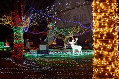 那須烏山でイルミネーション　住民主体で夜の癒やし演出　１月13日まで