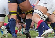 国学栃木 堅守光る