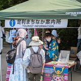 フラワーパークと足利学校に43万人　春の誘客期間　雨天影響で前年下回る
